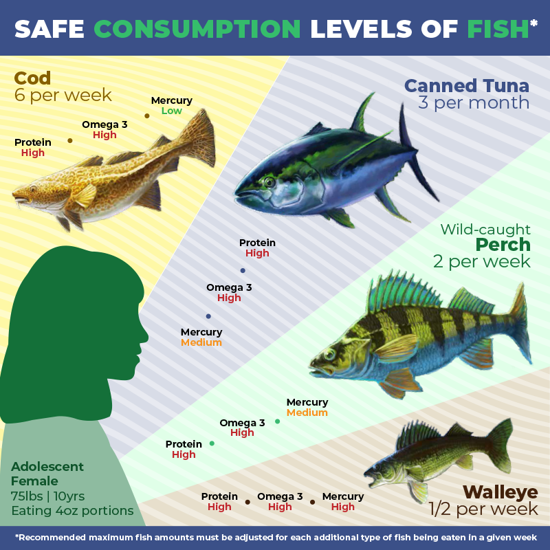 Fish consumption child thumbnail