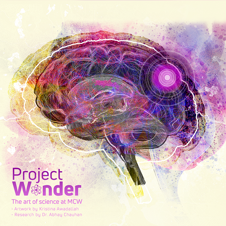 Project Wonder Nanoparticles