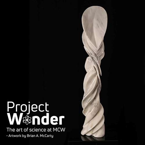 MCW Project Wonder: The Shape of Dissociation