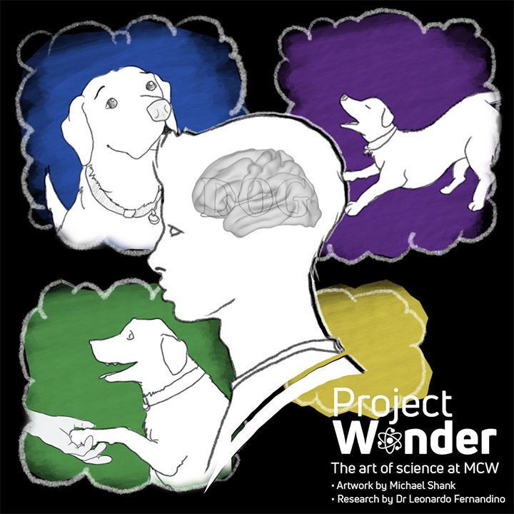 Project Wonder Whats in a Name