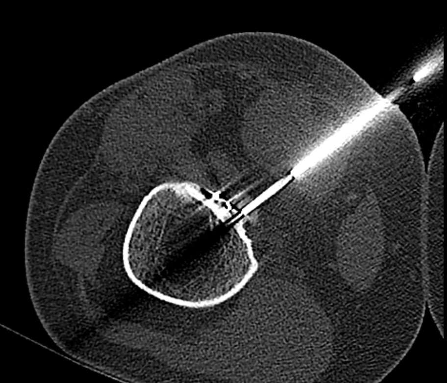 msk-fellowship-4