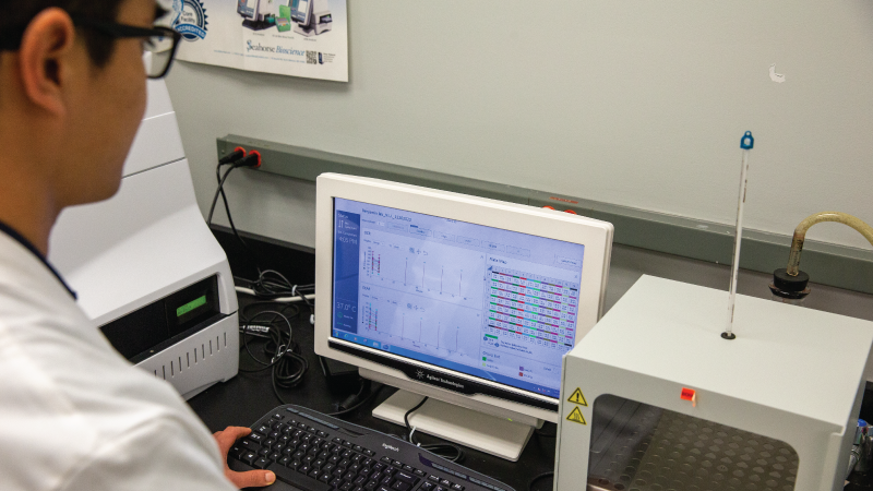 an individual looking at a computer screen