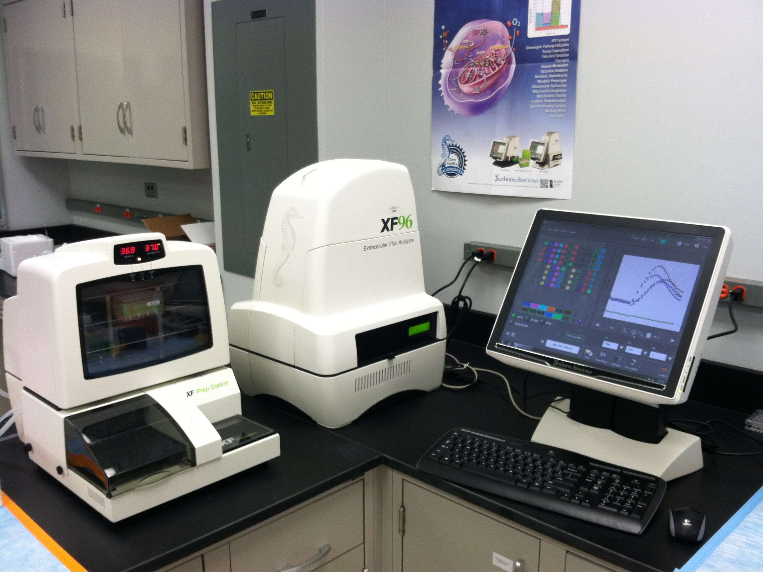 Seahorse XF96 Analyzer