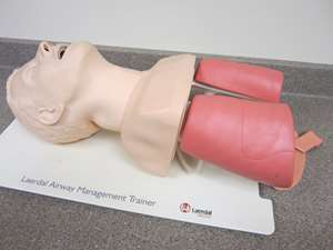 adult-airway-laerdal