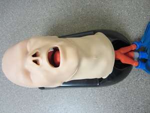 advanced-cricothyroid-airsim