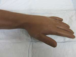 iv-arm-brown-nasco-life-form