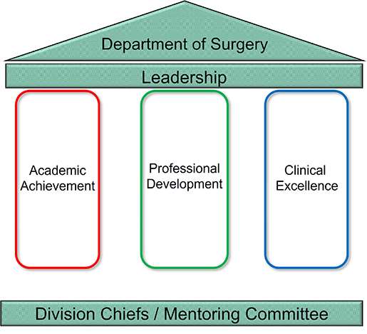 Surgery Mentoring Committee Three Pillars