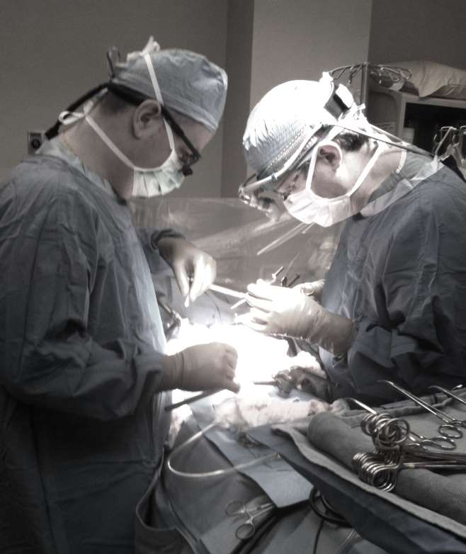 doctors performing surgery