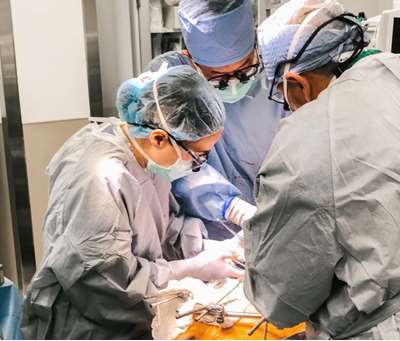 Photo of operating room in Transplant Surgery
