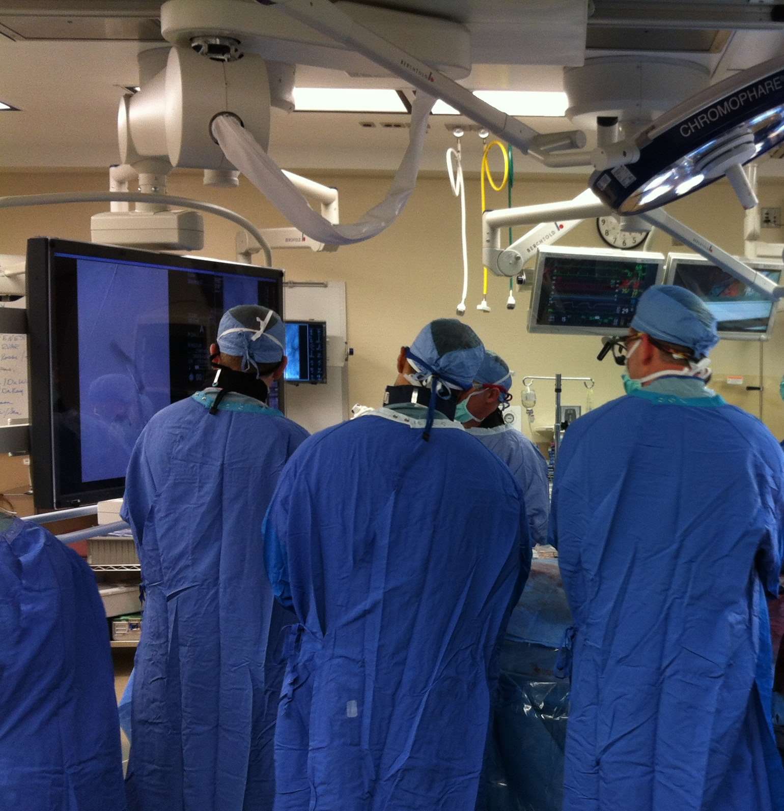 hybrid in use vascular