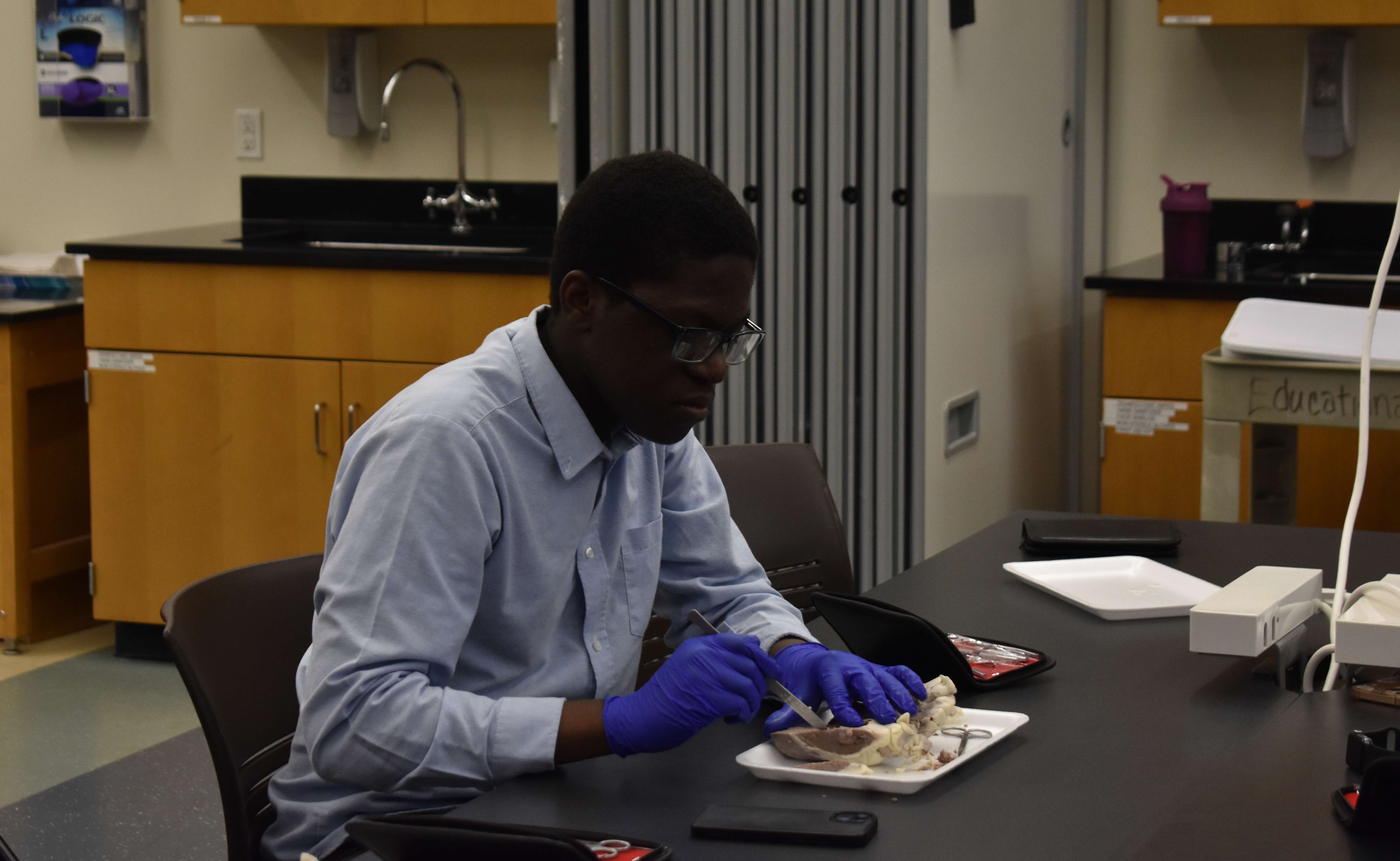 Scenes from the AIM Program 4