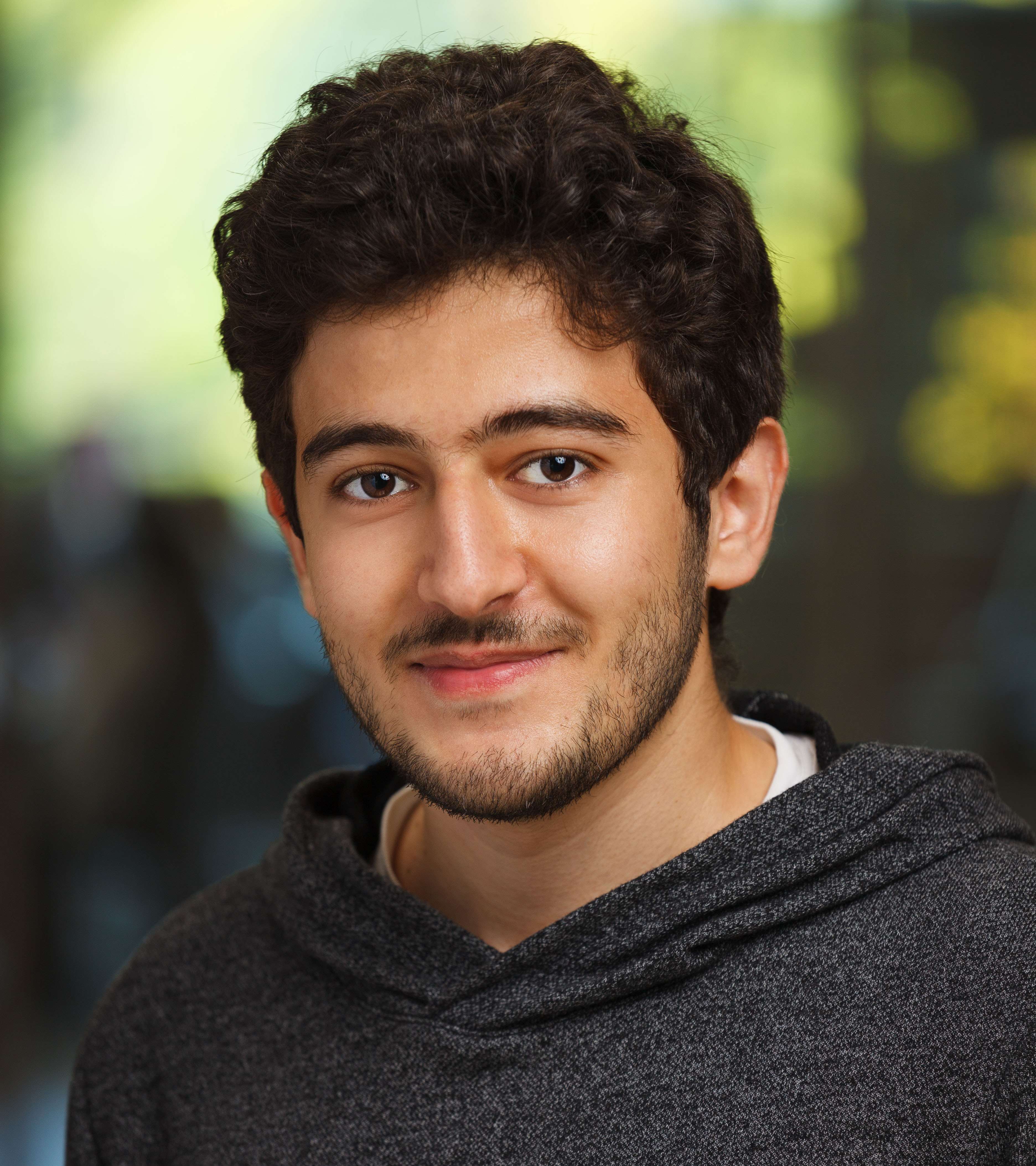 Ammar Alsheikh_Academic Profile
