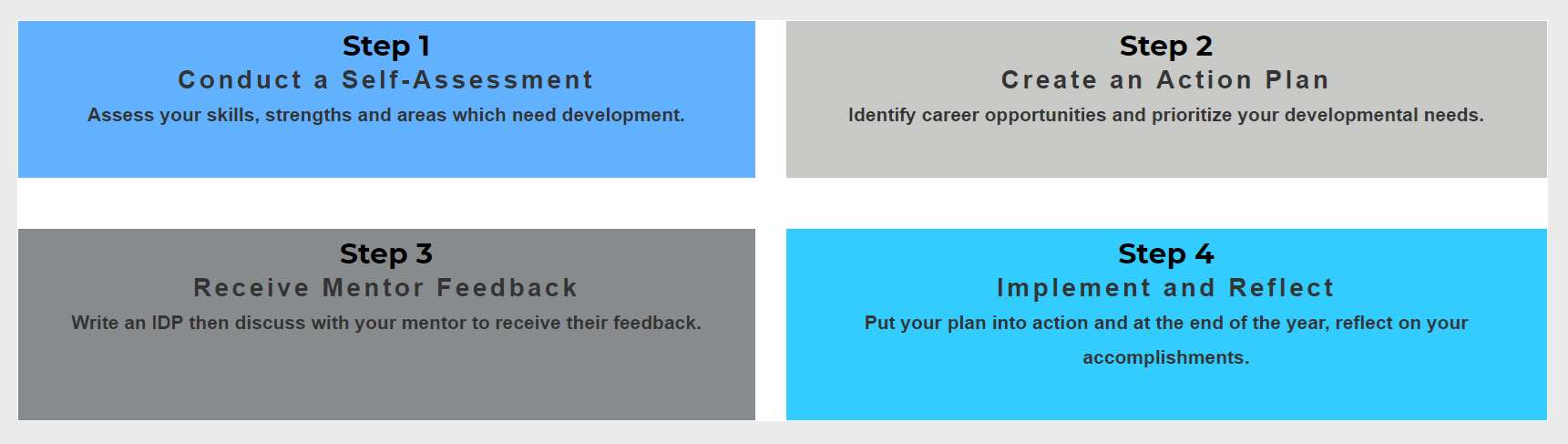 Individual Development plan