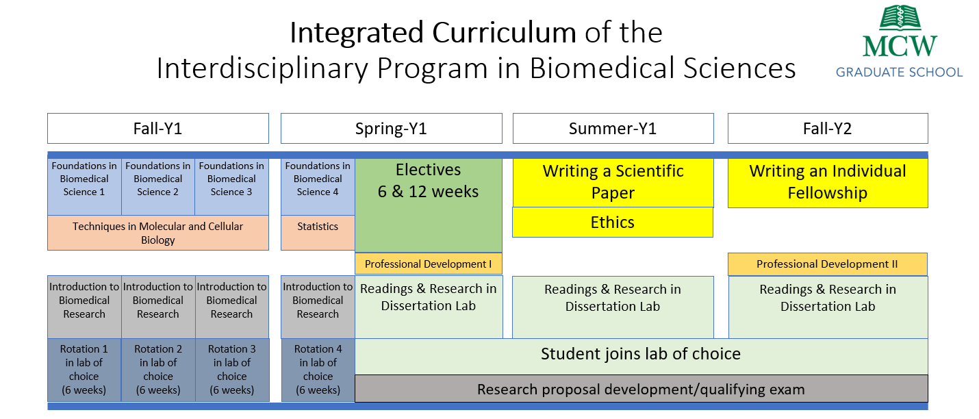 Integrated Curriculum IDP