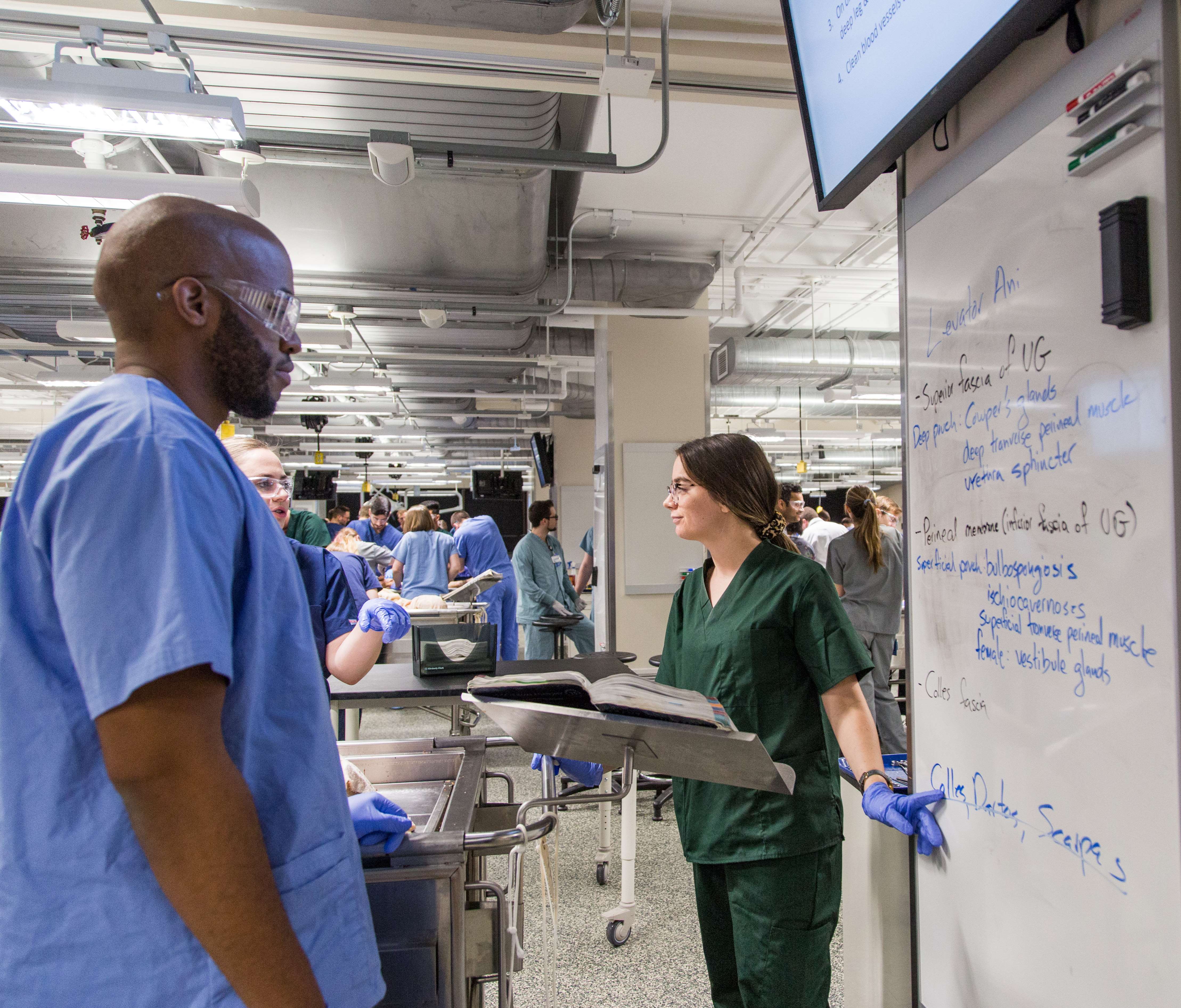 Medical students in classroom