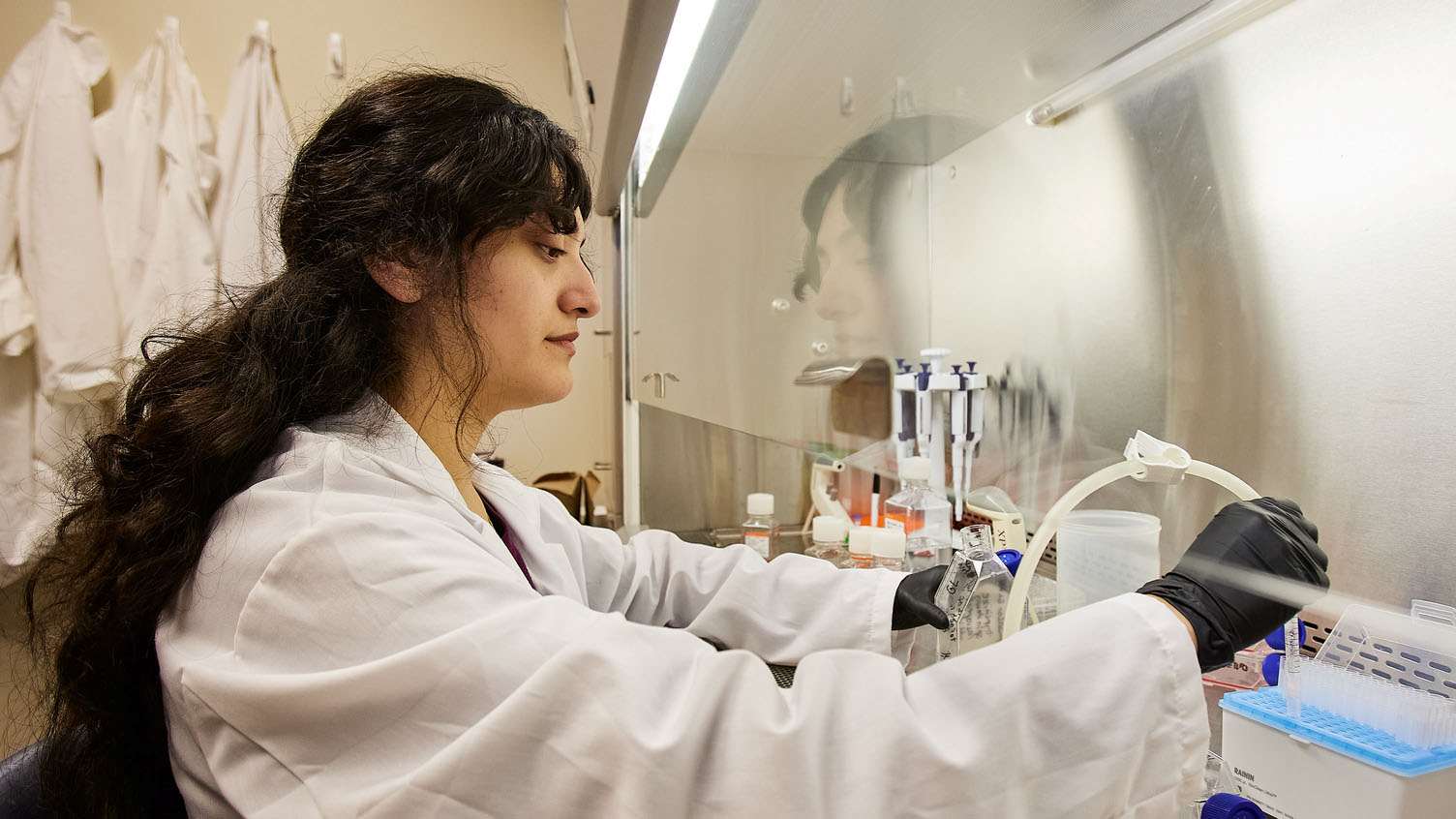 Our Pathway Programs