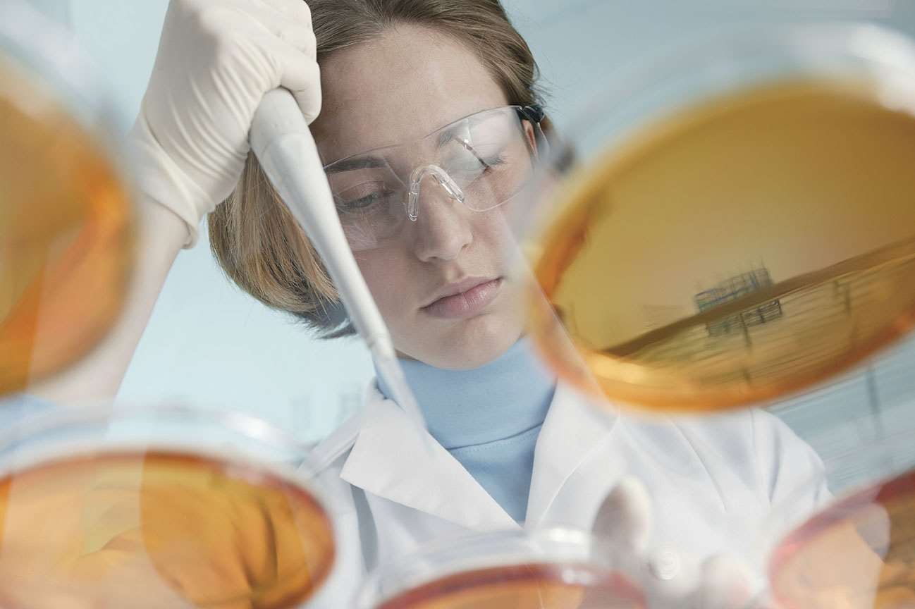 Researcher overlooking lab samples