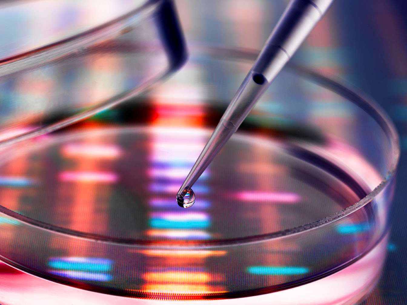 Data seqence seen thru dish and extract