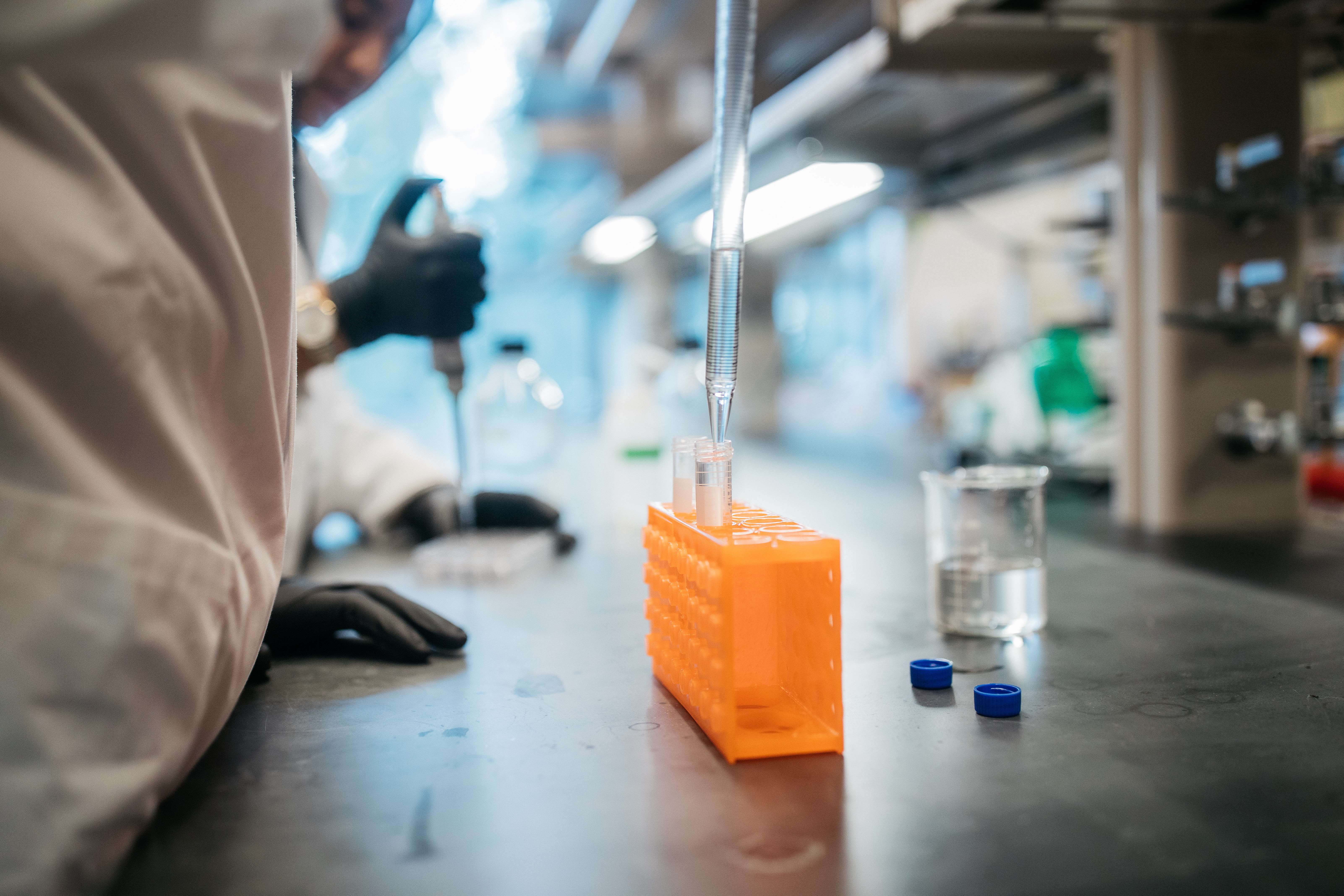 pipette in laboratory