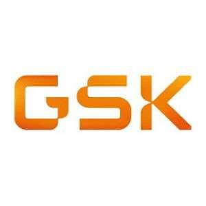 GSK Logo
