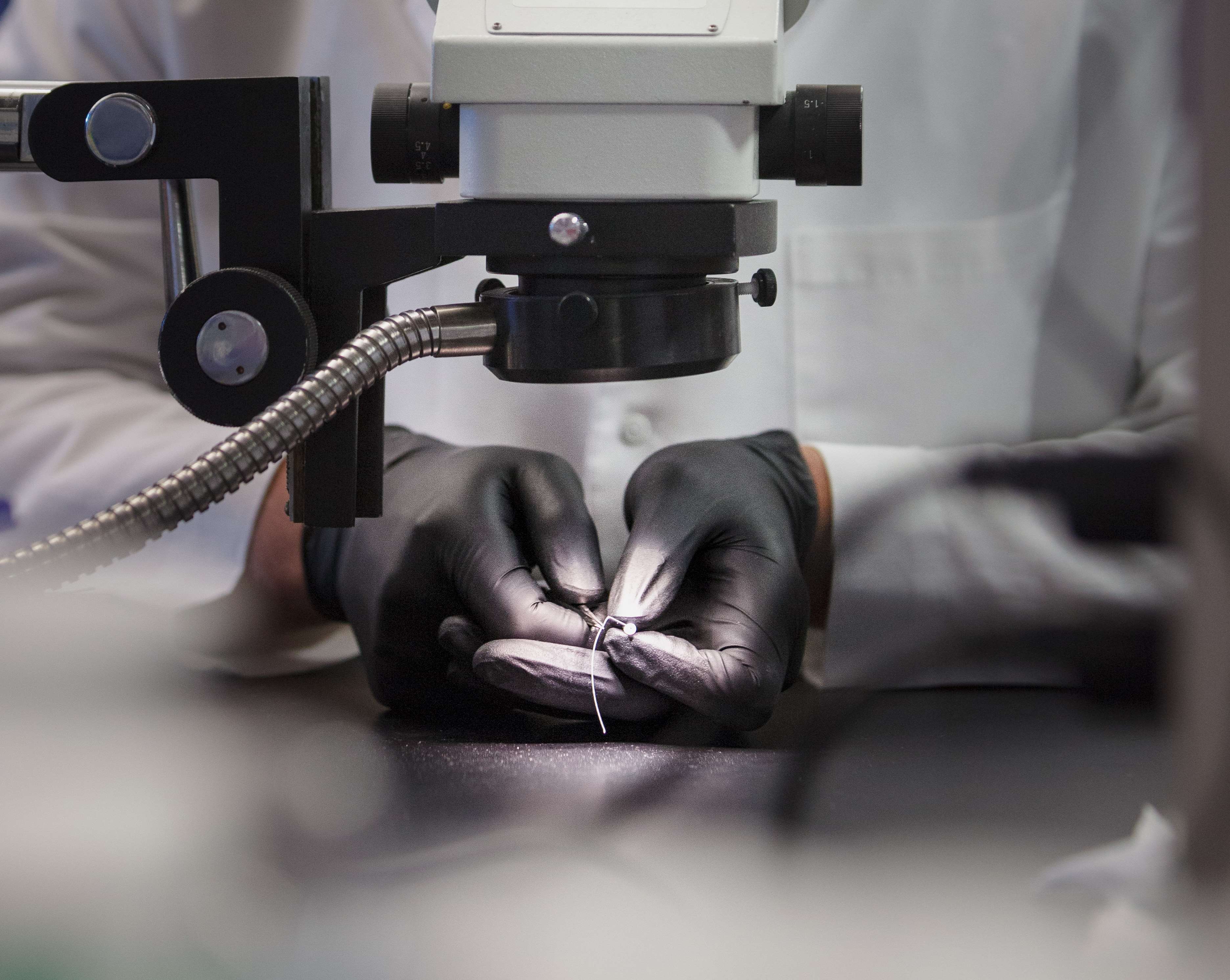 Pharmacology visual data 2