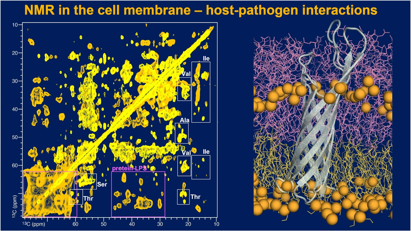 Research_NMR_Image-Text-Split-Component