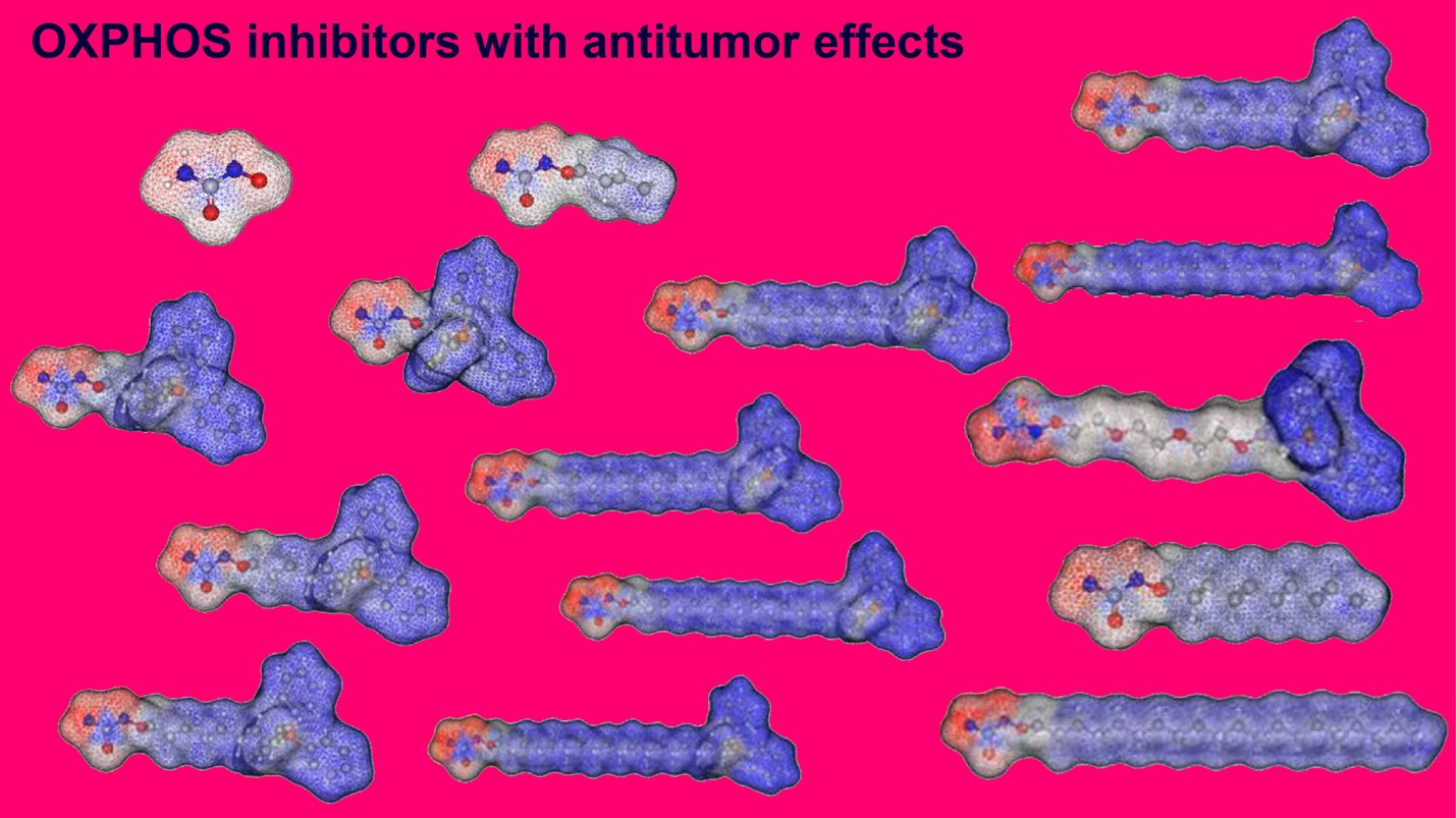 Research_Redox-Biophysics_Image-Text-Split-Component