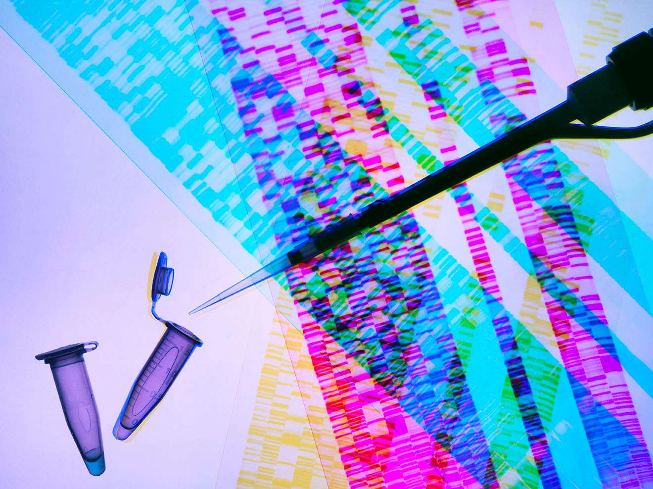 Backlit DNA sequence and sample