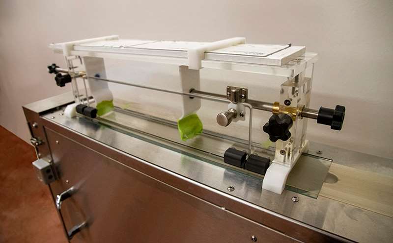 Rodent Behavioral Testing Facilities | ZVAMC Labs | Medical College of ...