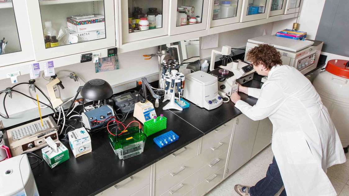 Cell Biology Laboratory Medical College of Wisconsin