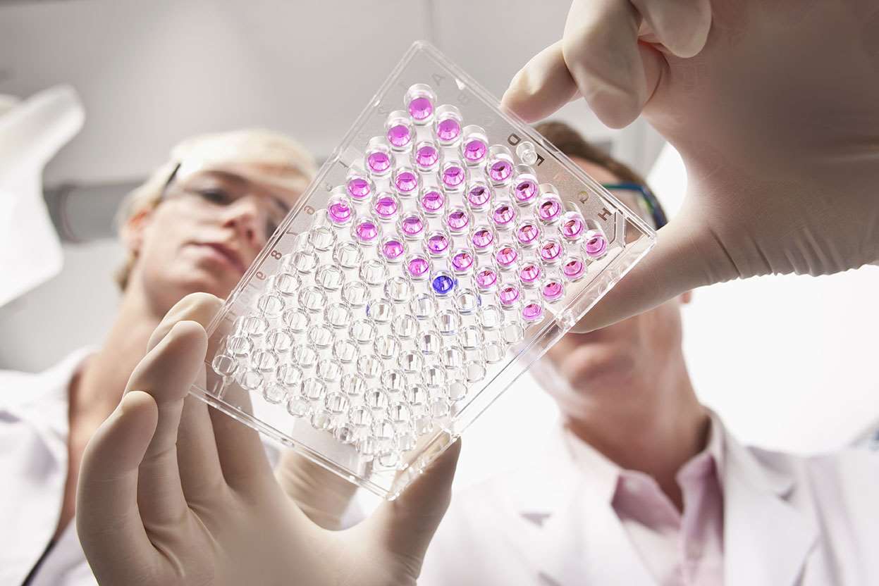 Researcher examines test samples in tray