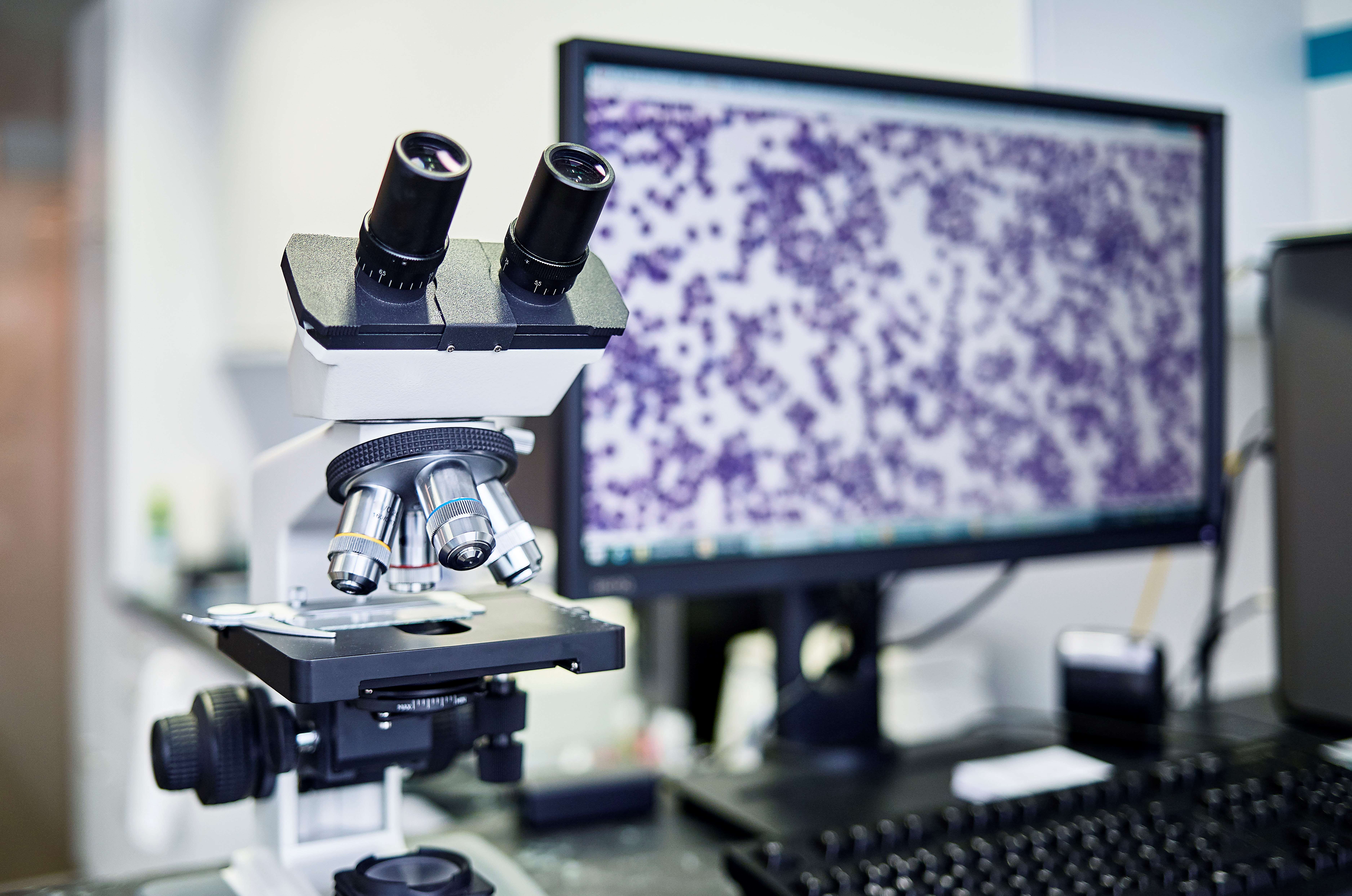 Anatomic Pathology Services Pathology & Laboratory Medicine Medical