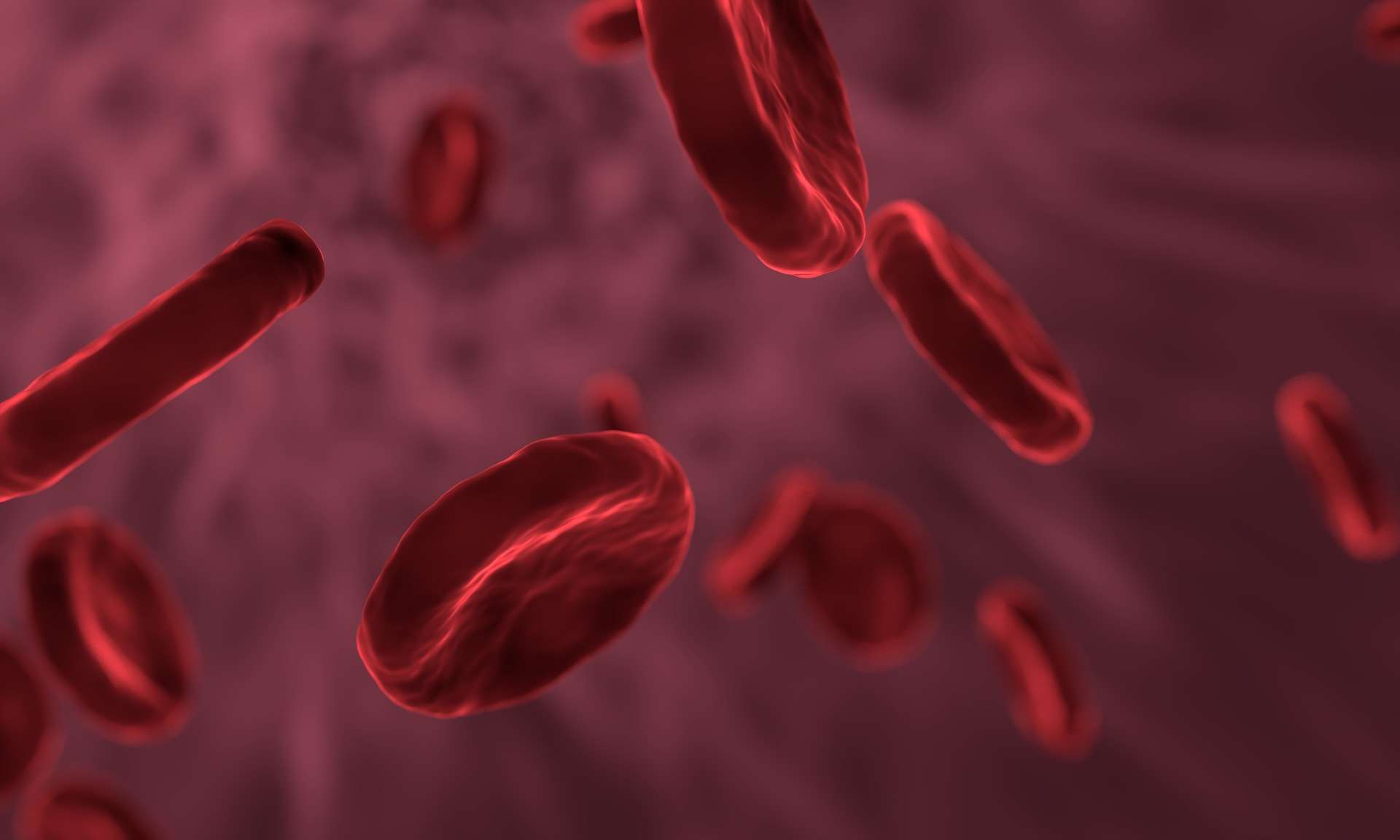 red-blood-cells-3188223_1920