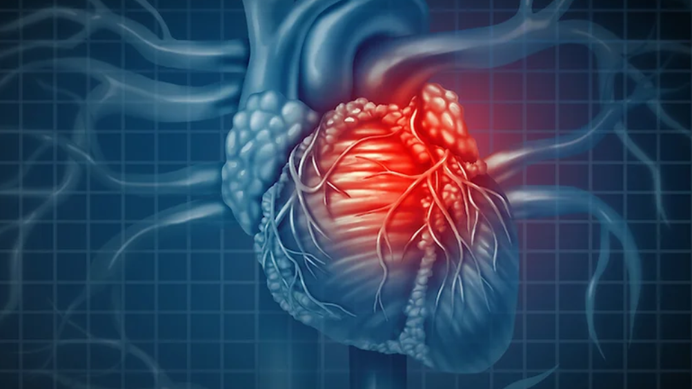 Liu Lab Why Heart Regeneration Image Text Split