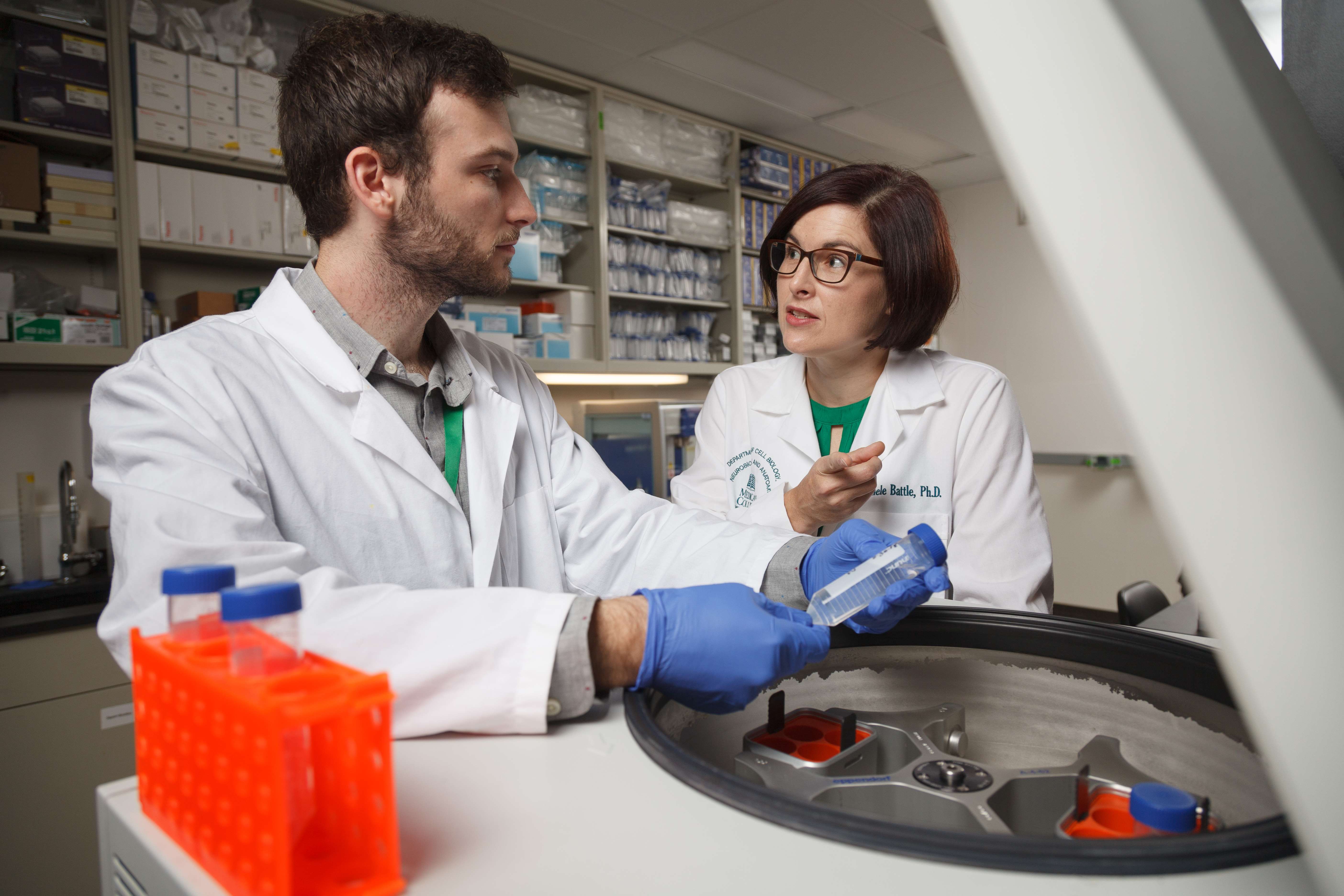 Cell & Developmental Biology PhD | Graduate School Programs | Medical ...